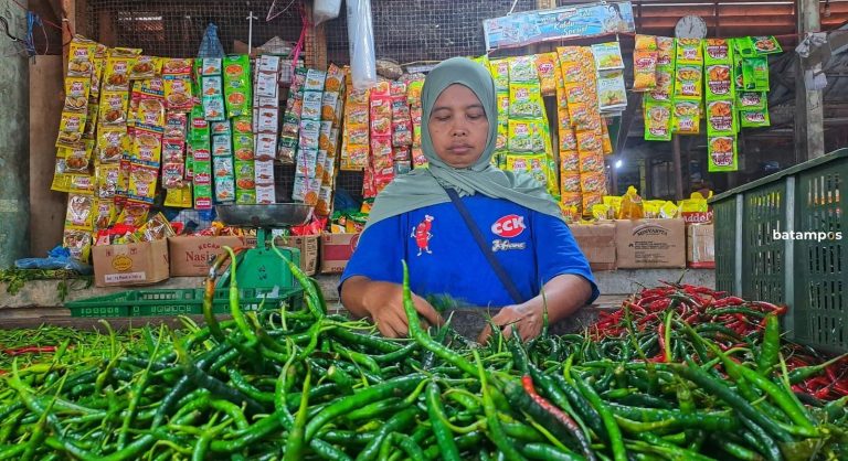 Harga Cabai Melonjak, Stok Sembako di Bintan Menipis, Pasokan dari Sumatera Terbatas dan Pengetatan Barang di Batam