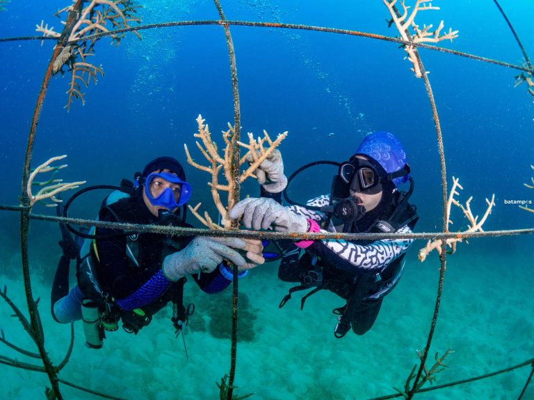Konservasi Laut Anambas Raih Kategori Emas
