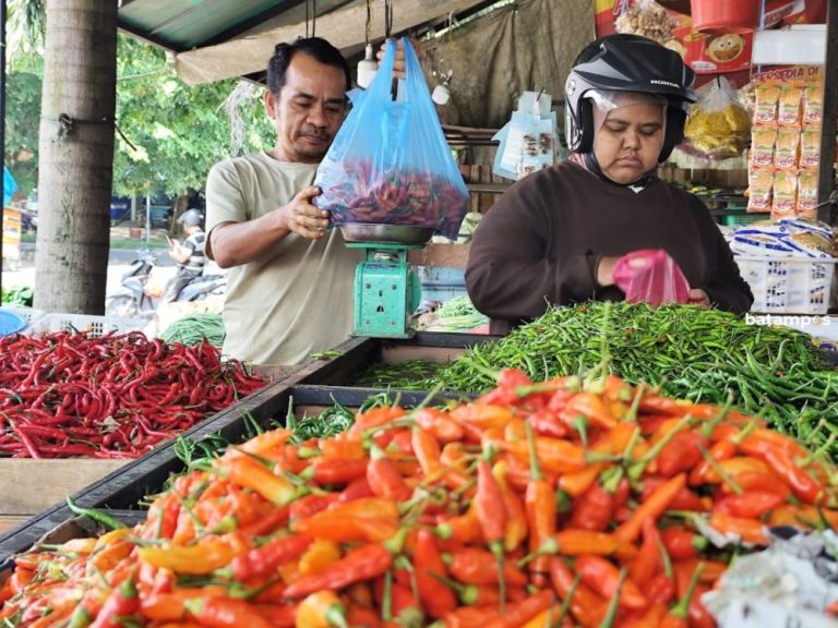 Imbas Bencana di Sumatra, Harga Cabai di Tanjungpinang Naik Dua Kali Lipat