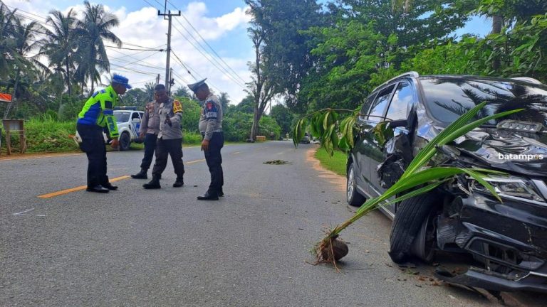 Mobil vs Motor di Trikora: Polisi Ungkap Kelalaian Pengemudi Penyebab Kecelakaan