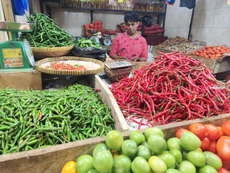 Harga Cabai Meroket, Pemprov Kepri Siapkan Pasokan Alternatif