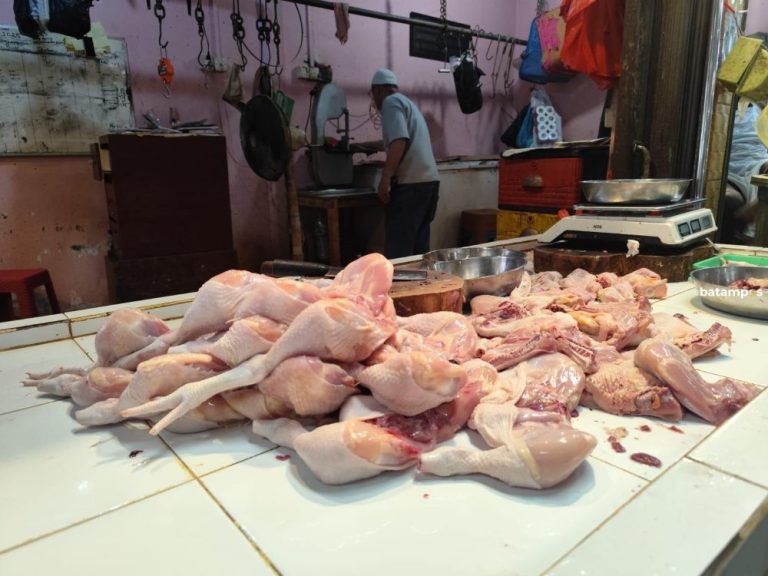 Stok Menipis, Harga Ayam dan Sayuran di Tanjungpinang Terus Melambung
