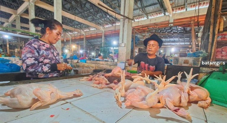 Pasokan Menipis, Harga Ayam Potong di Tanjunguban Merangkak Naik