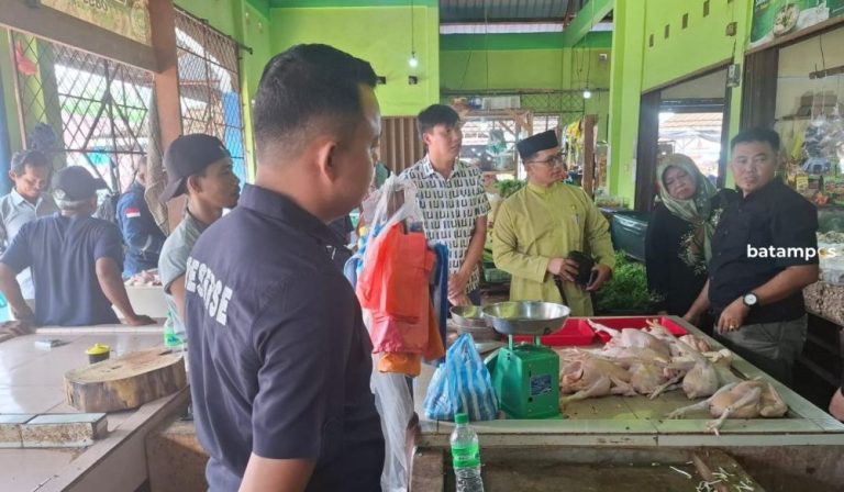 Harga Ayam Potong Naik, DKUPP Bintan: Suplai Peternakan Berkurang karena Belum Panen