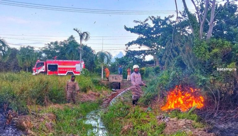 Kebakaran Lahan di Bintan Utara Bikin Panik, Warga Khawatir Api Masuk Permukiman
