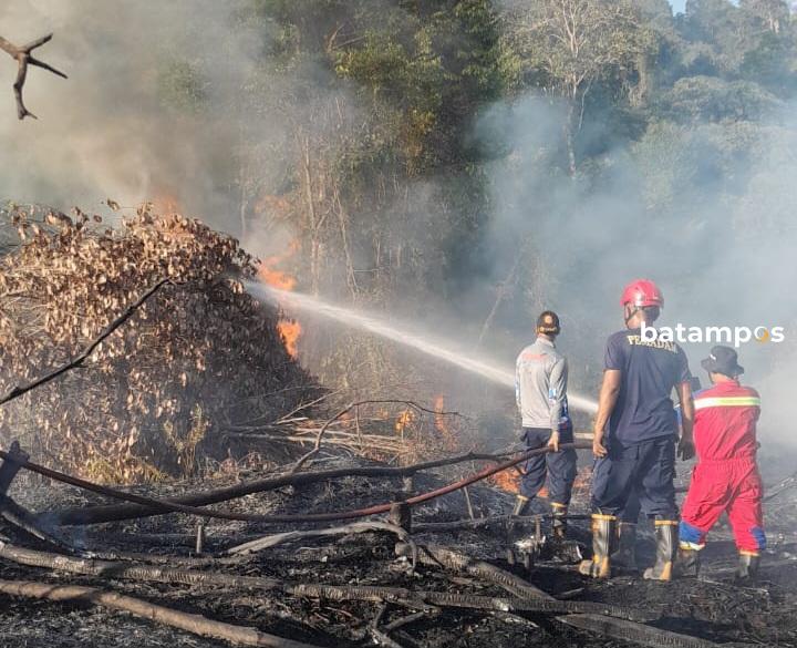 Kebakaran di Batu Runcing Lingga Hanguskan Setengah Hektare Hutan, Damkar Berjibaku
