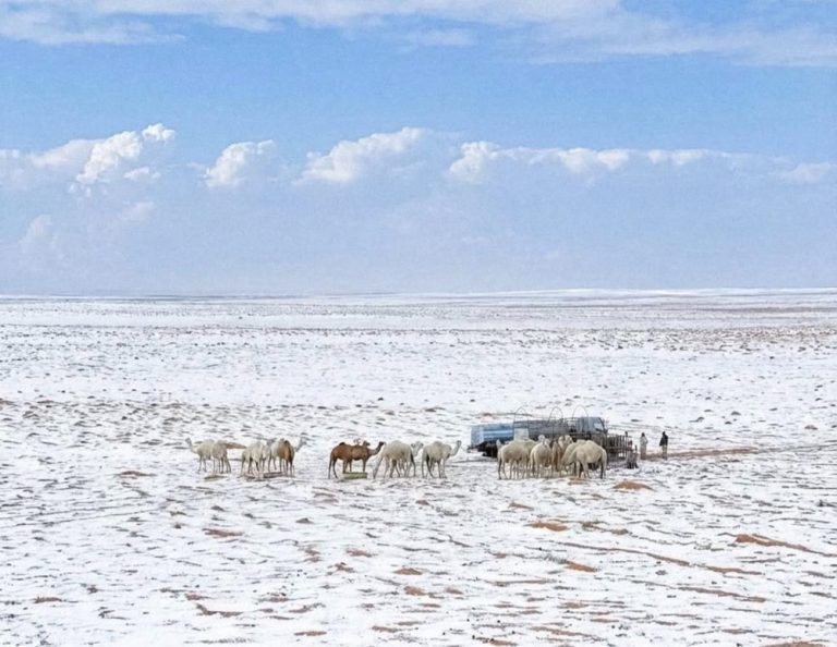 Fenomena Langka, Salju Selimuti Gurun Arab Saudi Setelah Puluhan Tahun