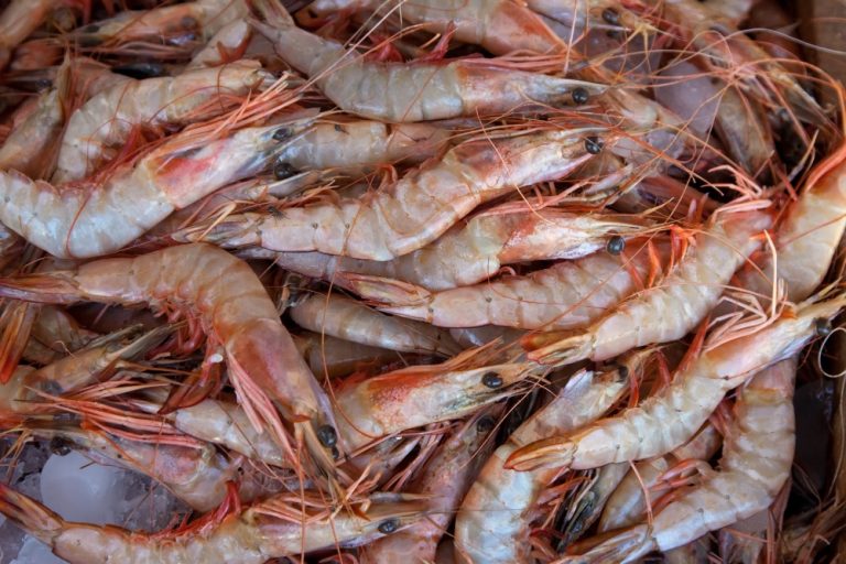 FDA Tarik Udang Indonesia dari Pasar AS karena Dugaan Paparan Cesium-137