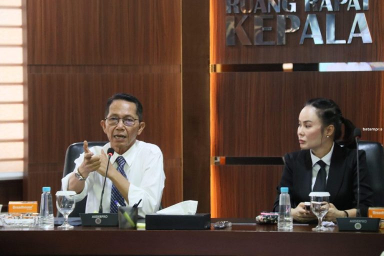 PMDN Melesat di 2025, Batam Tak Lagi Bertumpu pada PMA