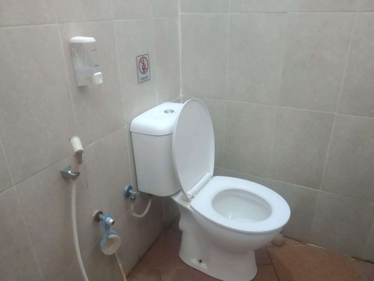 Lebih Sehat Mana, Toilet Jongkok atau Duduk? Ini Jawabannya