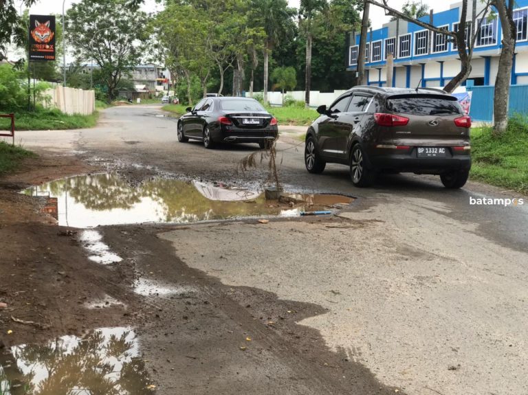 Jalan Gurindam Berlubang dan Bergelombang, Warga Pasang Tanaman sebagai Penanda Bahaya