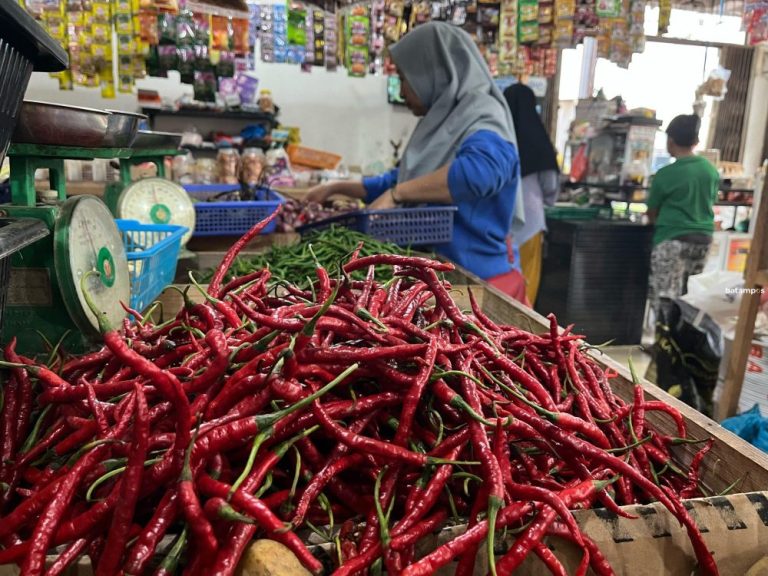 Harga Cabai di Batam Melonjak, Warga dan Pedagang Tertekan