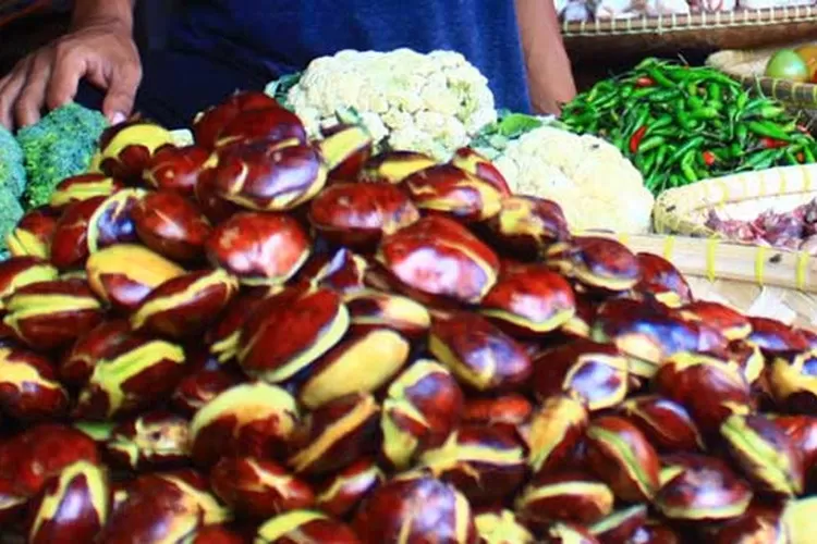 Mengapa Jengkol dan Petai Bau Menyengat? Ini Penjelasannya dan Cara Menghilangkan Aromanya