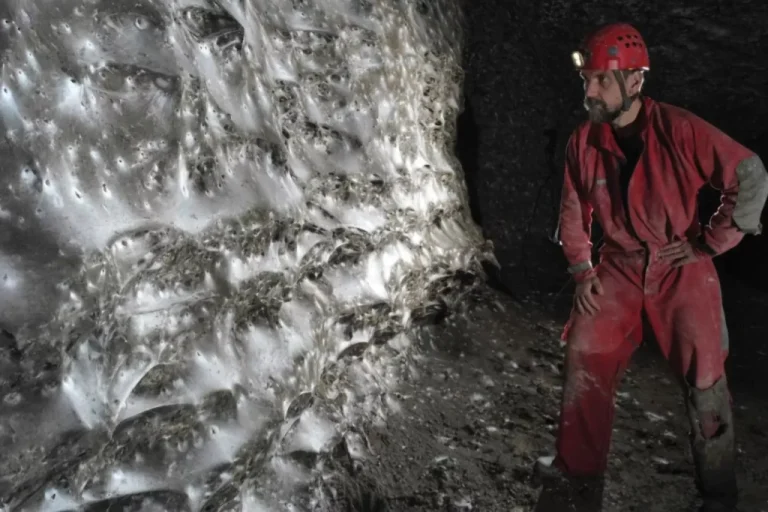 Jaring Laba-laba Terbesar di Dunia Ditemukan di Gua Albania, Isinya 110 Ribu Ekor