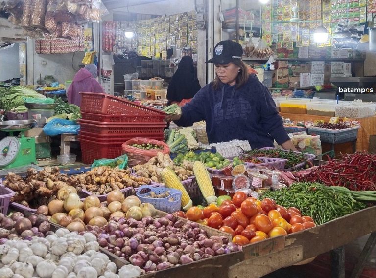 Lonjakan Harga Pangan Dorong Inflasi Batam Sebesar 3,68 Persen