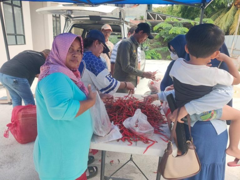 Tekan Harga Cabai, Pemko Batam Gelar Operasi Pasar Khusus