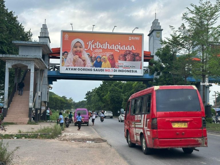 Penertiban Papan Reklame di Batuaji dan Sagulung Menunggu Jadwal