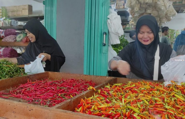 Harga Cabai di Batam Masih Tinggi, Harga Sayur Ikutan Melonjak