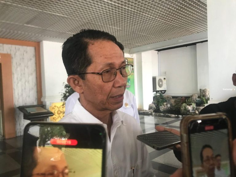 Amsakar Arahkan Pembangunan Batam Dalam 3 Pilar