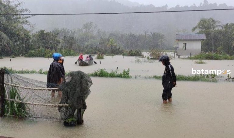 Hujan Semalaman, Permukiman Warga Ulu Maras Anambas Terendam Banjir