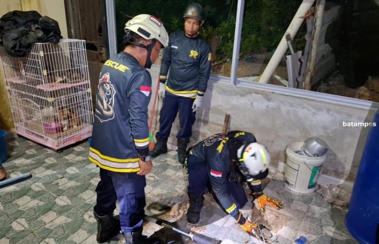 Aksi Damkar Tanjunguban Selamatkan Kucing Terperangkap dalam Septic Tank