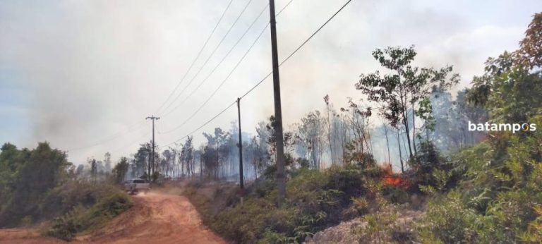 Kebakaran 1 Hektare Lahan di Hutan Desa Tanjung Irat Lingga, Warga Padamkan Sendiri