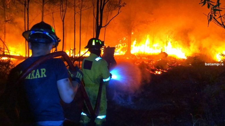 Damkar Tanjunguban Kewalahan Tangani Enam Kebakaran dalam Sehari
