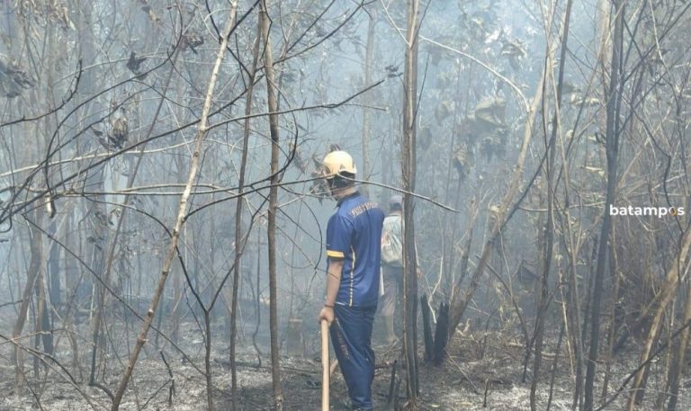 Karhutla di Singkep, Petugas Damkar Cegah Api Meluas