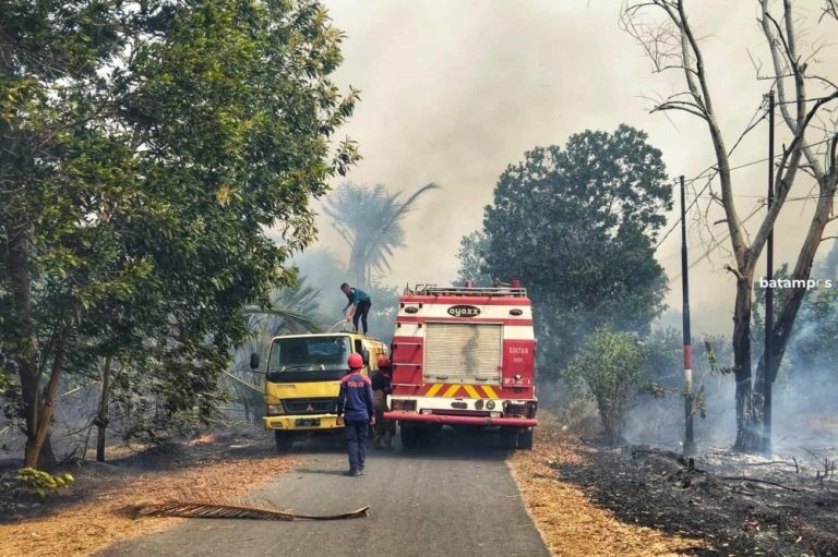 Asap Tebal Kebakaran Lahan di Teluk Bakau Bintan Ganggu Pengendara
