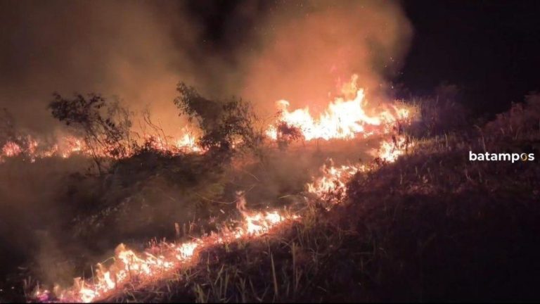 Dalam Semalam, Api Melalap Dua Lokasi Lahan di Karimun