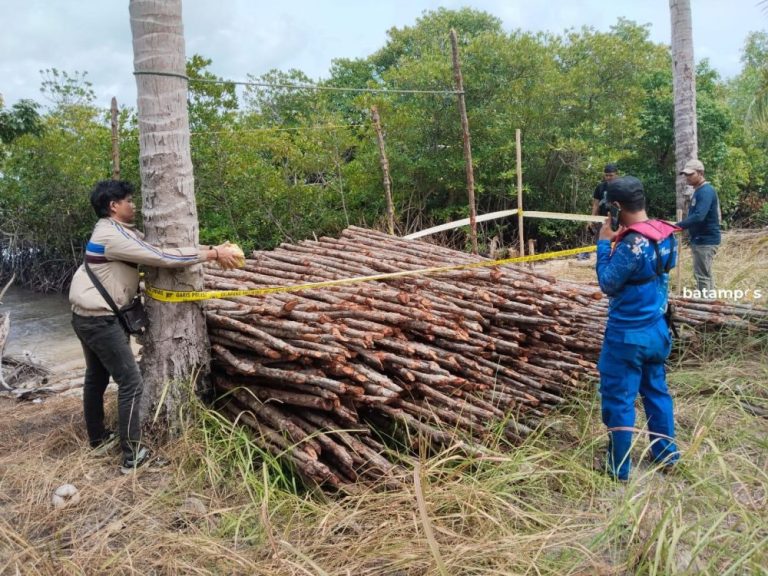 Polisi Buru Pemilik dan Jaringan Penyelundup Kayu Bakau di Lingga
