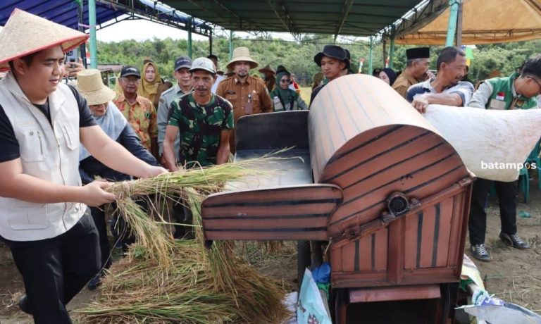 Panen Perdana Padi Gogo di Bintan Utara, Bupati Roby: Bukti Potensi Pangan Lokal