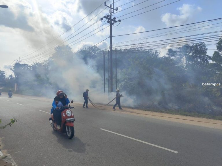 Bakar Sampah Picu Kebakaran Lahan di Tanjungpinang, Seorang Pria Diamankan Polisi