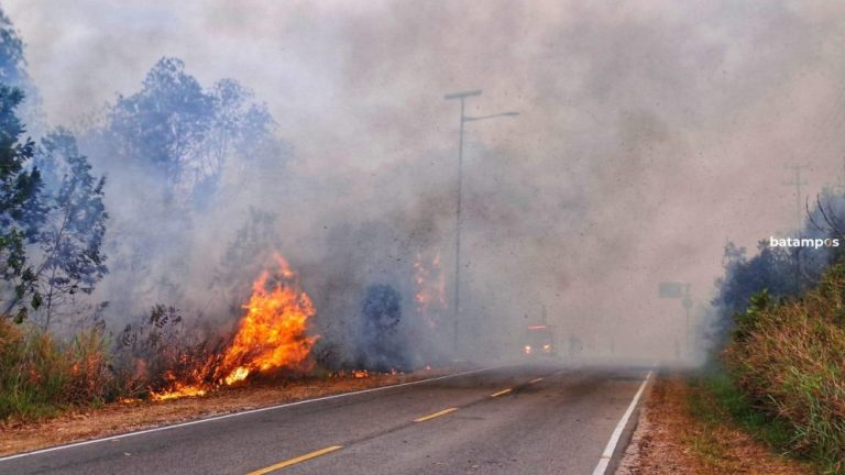 Kebakaran Lahan Busung Bintan Sebabkan Asap Tebal dan Kemacetan Panjang