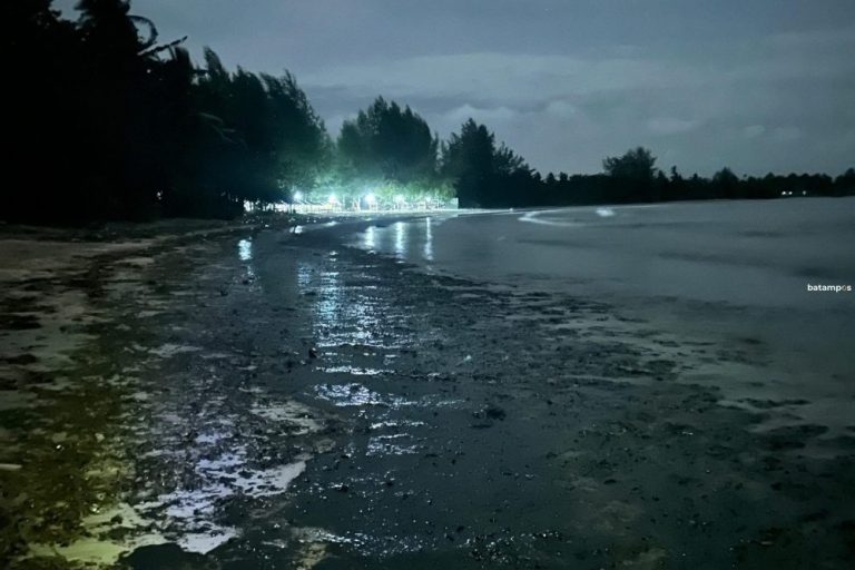 Limbah Minyak Hitam Cemari Pantai Mutiara Bintan, Biota Laut Terdampak