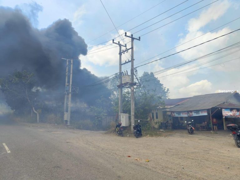 Lahan 5 Hektare di Jalan Daeng Kamboja Terbakar, Nyaris Lalap Rumah Warga