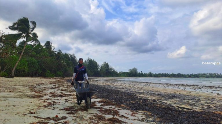 Limbah Minyak Hitam Cemari Pantai Trikora Bintan, Aktivis Lingkungan Desak Penegakan Hukum