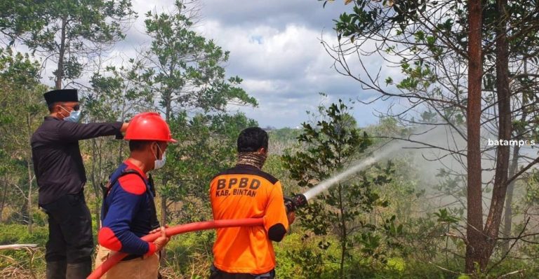 Kebakaran Lahan di Gunung Kijang Bintan Capai 20 Titik, Petugas Kewalahan