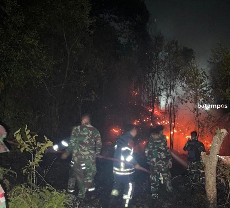 Kebakaran Dekat Landasan Pacu Bandara Hang Nadim Batam, Operasional Tetap Aman