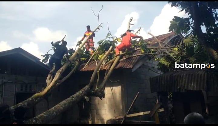 Cuaca Ekstrem, Pohon Tumbang Timpa Rumah Warga di Dabo Singkep