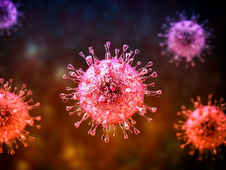 Apa Itu Virus Nipah? Penyakit Mematikan yang Menjadi Sorotan