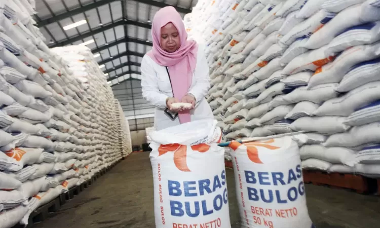 Bulog Mendapatkan Tambahan Rp39,1 Triliun untuk Pembelian 4 Juta Ton Beras dan 1 Juta Ton Jagung