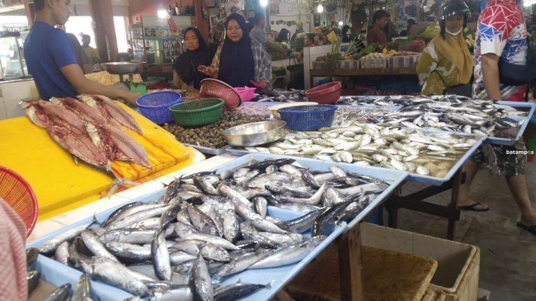Harga Ikan Naik karena Tangkapan Nelayan Menurun