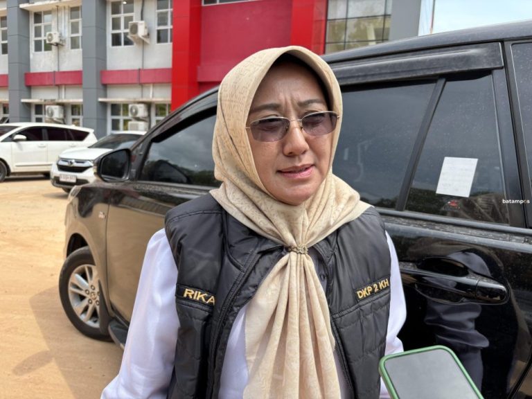 Harga Ayam Potong di Batam Masih Tinggi, DKP2KH Kepri Siap Turun ke Pasar