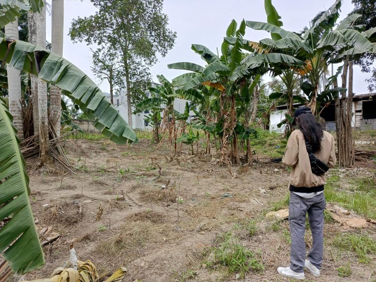 Polisi: Pelaku Penikaman di Kebun Crown Hill hanya Satu Orang karena Tersinggung