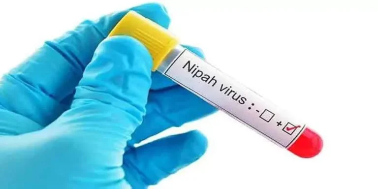 India Laporkan Dua Kasus Baru Virus Nipah, Asia Tingkatkan Kewaspadaan