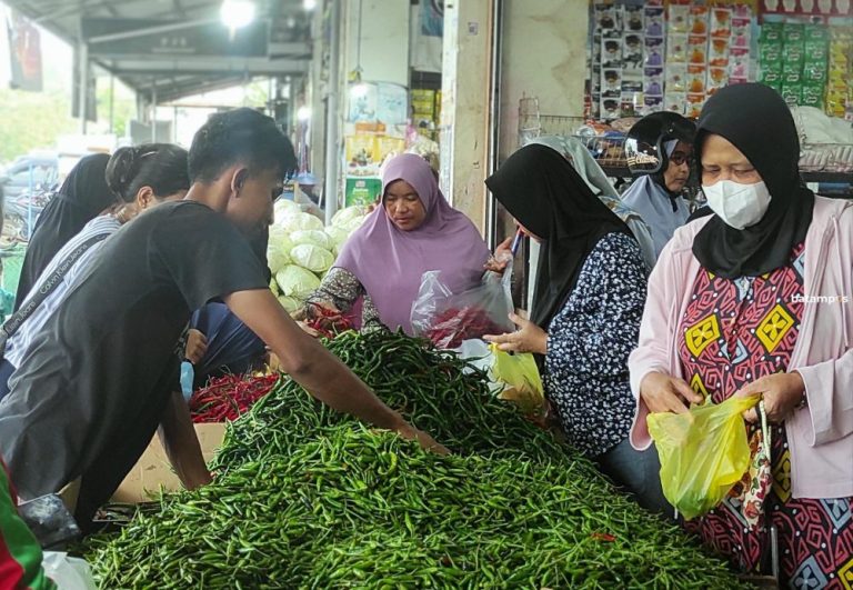 Harga Cabai Berangsur Turun, Stok Juga Mencukupi di Pasar