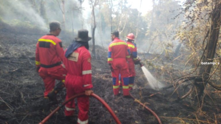 Dua Titik Kebakaran Landa Singkep Barat Lingga, 15 Hektare Kebun Hangus