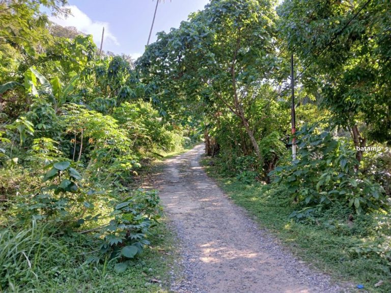 Jalan Penghubung Harung Hijau–Tiangau Rusak Parah, Warga Minta Perbaikan