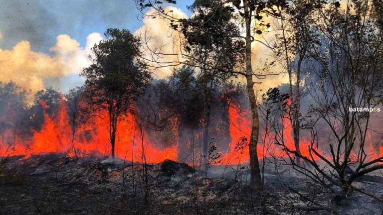 Karhutla Marak di Bintan, Polisi Ancam Tindak Tegas Pelaku Pembakaran Lahan